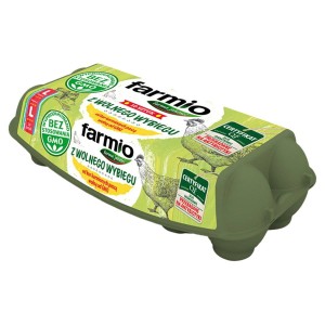 Farmio Jaja z wolnego wybiegu L 10 szt.